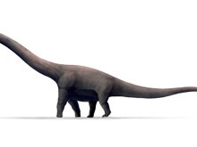 45 metrelik dev dinozor ve kaybolan fosillerin hikayesi