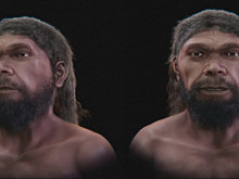 İlk Homo sapiens'in yüzü nasıl görünüyordu?