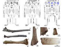 Göbekli Tepe'de ilk kez bozulmamış insan mezarları bulundu