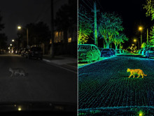 Tesla'nın Robotaxi'sini gece durduran sorun: Gri bir kedi bile yeterli
