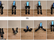 400 dolarlık PhoneBot: Artık telefonunuz sizinle yürüyecek