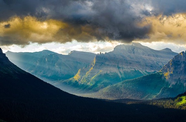 Birbirinden Güzel 36 Doğa Karesi!