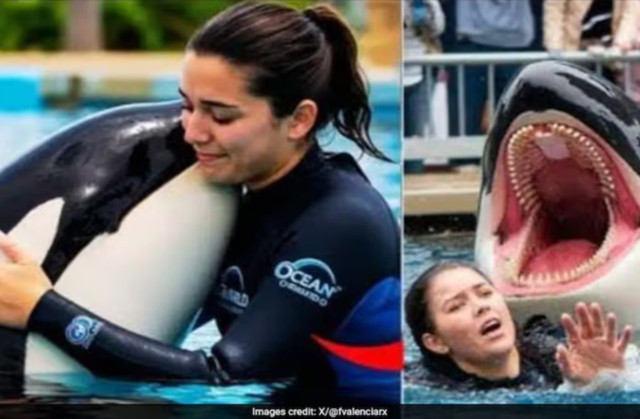 Viral olan Jessica Radcliffe videosu hakkında gerçekler: Aslında öyle biri yok!