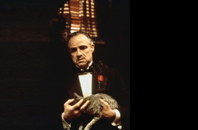 Rotten'a göre mutlaka izlenmesi gereken muhteşem 20 film