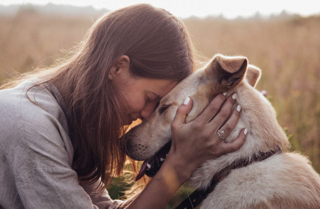 Köpeklerle vakit geçirmek kadınların yaşlanmasını yavaşlatıyor!