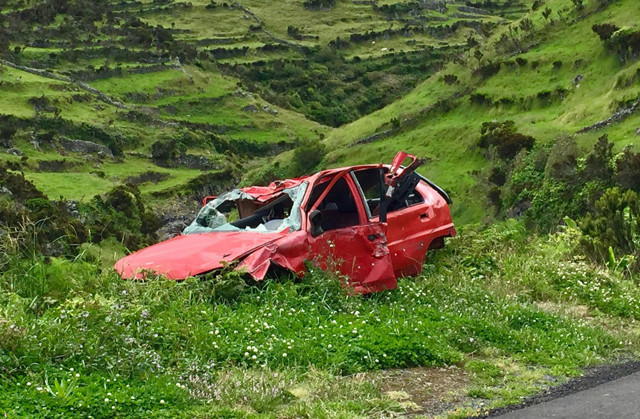 İnsanlık bir anda yok olsaydı, 1 yıl sonra gezegenimizde neler değişirdi?