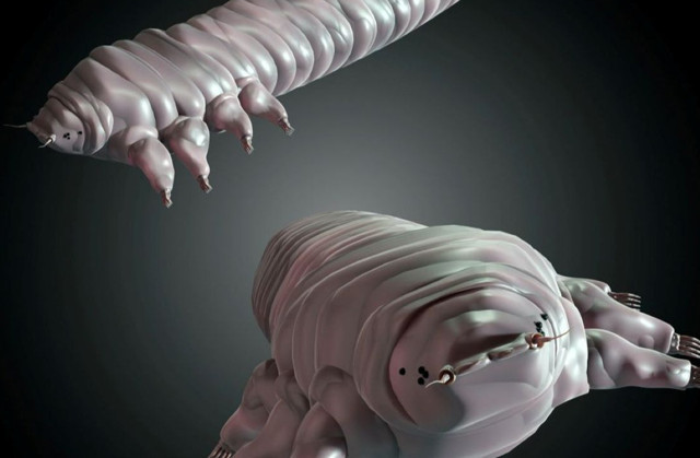 En yakınınızdaki bu canlıyı tanıyor musunuz? Siz uyurken o yüzünüzde ortaya çıkıyor