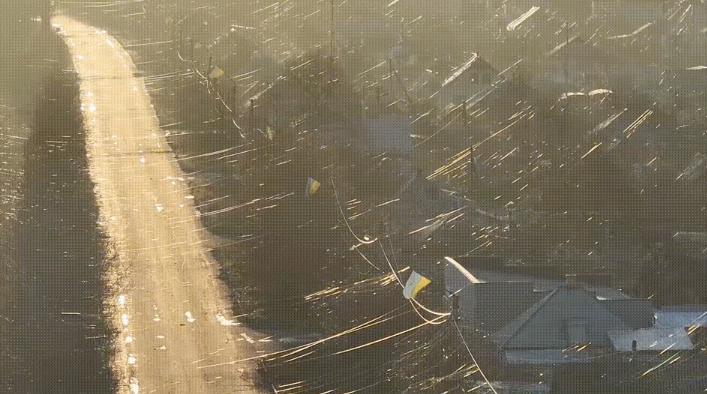Ukrayna'da kuşlar savaşın fiber kablolarıyla ısınıyor - Resim: 3