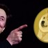 Elon Musk'ın DOGE web sitesi, yol geçen hanına dönmüş