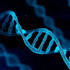 Bilim insanları, DNA'mızda saklanmış gizli bir kod buldular
