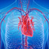 Kalp kanseri neden bu kadar nadir, kalp hücreleri neden kansere yakalanmıyor?