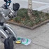 Çin'de sokakta dilenen insansı robot sosyal medyada gündem oldu