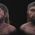 İlk Homo sapiens'in yüzü nasıl görünüyordu?