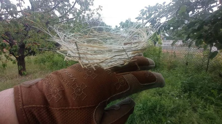 Ukrayna'da kuşlar savaşın fiber kablolarıyla ısınıyor - Resim: 1