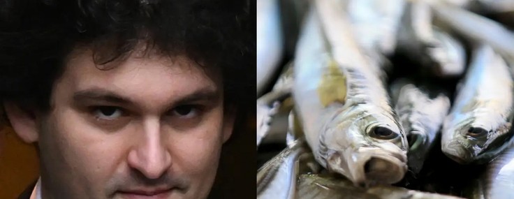 Bir zamanların kripto kralıydı, şimdi balık ticareti yapıyor