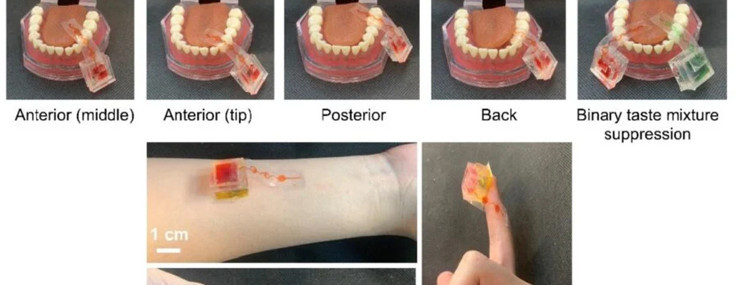Sanal tatları gerçeğe dönüştüren cihaz yaptılar