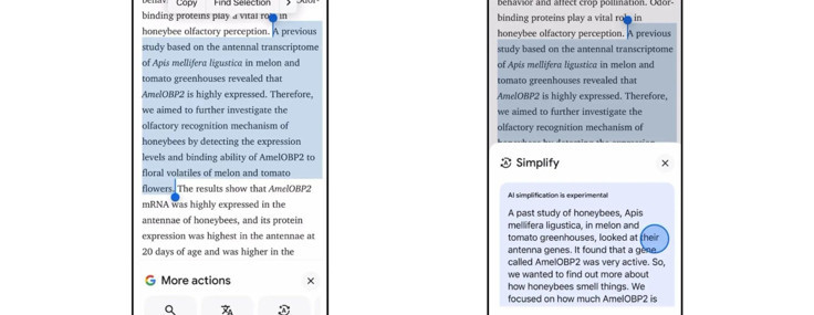 Google'ın yeni "Simplify" özelliği, anlamadığınız metinleri sizin için basitleştirecek