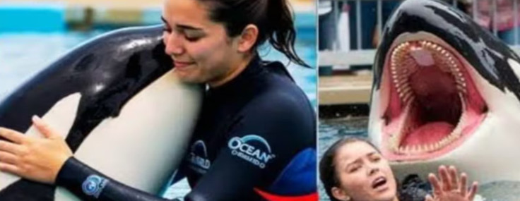 Viral olan Jessica Radcliffe videosu hakkında gerçekler: Aslında öyle biri yok!