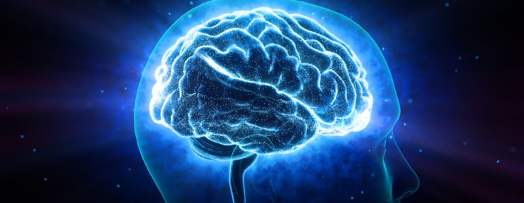 Bilim insanları, beyni hücre hücre haritalamayı başardı