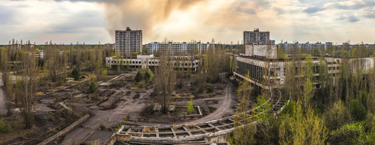 40 yıllık felaketin mirası: Çernobil'de keşfedilen mantar, Mars yolculuğunun kalkanı oluyor