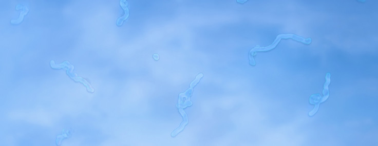 Parlak gökyüzüne bakarken gördüğümüz tuhaf noktacıklar ne anlama geliyor?