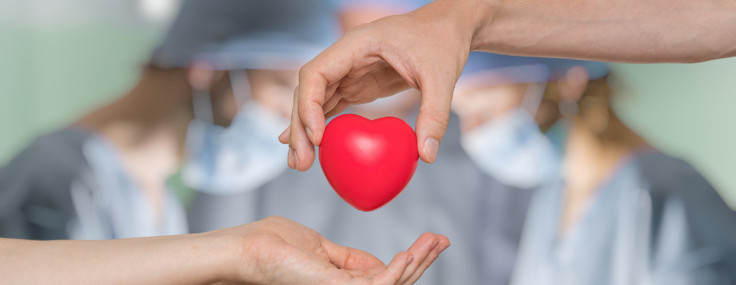 Organ nakli sonrası karakter değişimi: Bilim bu tuhaf dönüşümü nasıl açıklıyor?