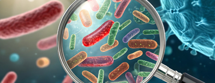 COVID-19'da BA.3.2 alarmı: Bağışıklık kalkanını delip geçiyor