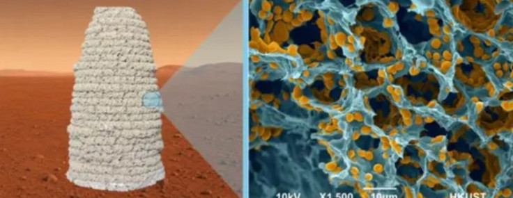 Mars'taki evler maya ve jelatinden yapılabilir