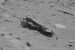 Mars'tan gelen kare tartışma yarattı: Fotoğraftaki 2,4 metrelik cisim ne?