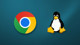 Google’dan Linux kullanıcılarına 6 yıllık gecikmiş hamle