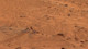Yıllar önce çekilen Mars fotoğrafındaki "gizemli insan" kim?
