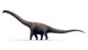 45 metrelik dev dinozor ve kaybolan fosillerin hikayesi