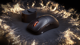 SteelSeries Sensei Pro ve Rival Pro tanıtıldı
