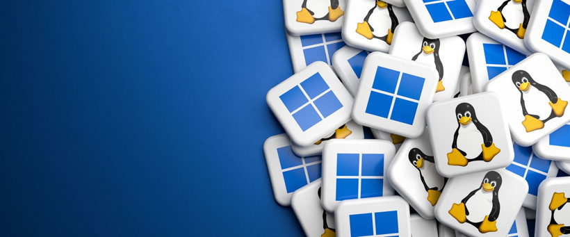 Windows'un yapamadığı ama en eski Linux’un bile yapabildiği 5 şey - Resim: 1