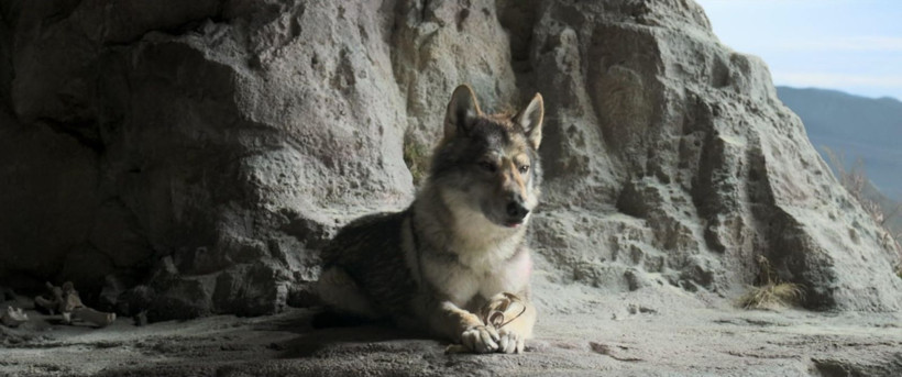 7 yıl sonra yeniden keşfedilen macera filmi - Resim: 3