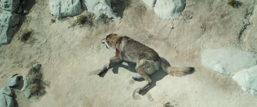 7 yıl sonra yeniden keşfedilen macera filmi - Resim: 4