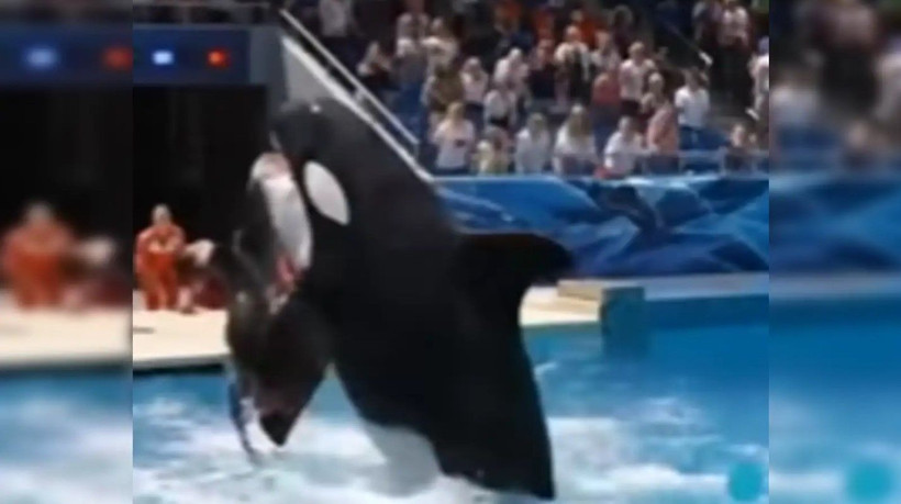 Viral olan Jessica Radcliffe videosu hakkında gerçekler: Aslında öyle biri yok! - Resim: 3