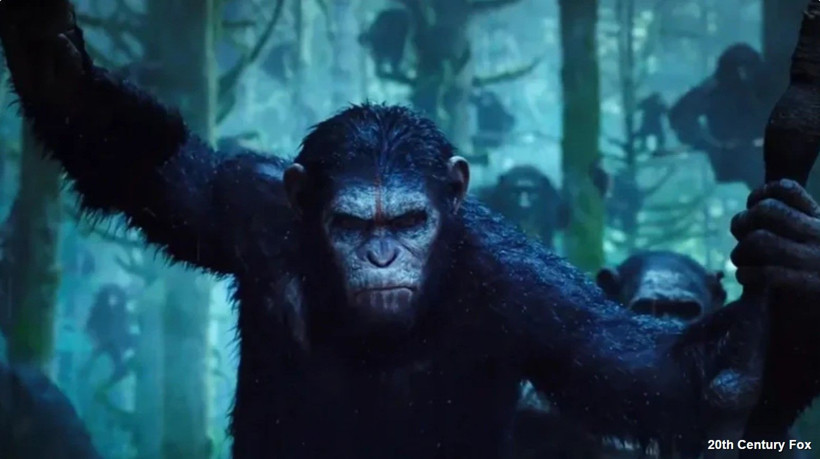 Bu 5 film geleceğin en kötü hali olabilir - Resim: 2