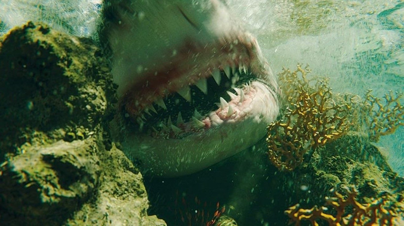 Kesinlikle izlemeniz gereken, hayatta kalma temalı 20 film: Mücadele dolu bir izleme rehberi - Resim: 3