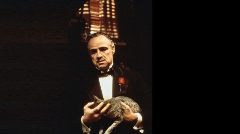 Rotten'a göre mutlaka izlenmesi gereken muhteşem 20 film - Resim: 1