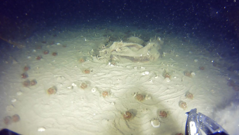 Marmara'nın dibindeki 51 yıllık Bursa uçağı gizemi çözülüyor: Yeni görüntüler ortaya çıktı - Resim: 3