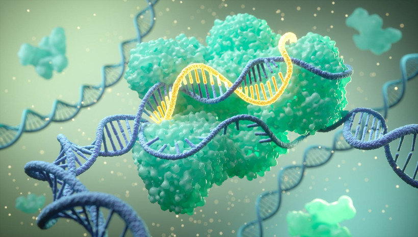 Genetik hastalıklar için yeni umut: mRNA'nın ardından tRNA dönemi mi başlıyor? - Resim: 2