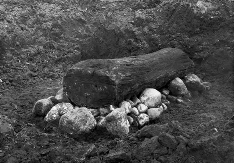 Tarlada bulunan meşe kütüğü, 3.400 yıllık sırrı açığa çıkardı - Resim: 1