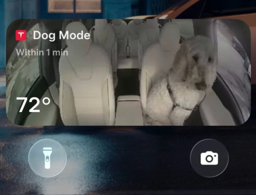 Tesla 2025 tatil güncellemesi: İşte tüm yeni özellikler - Resim: 4