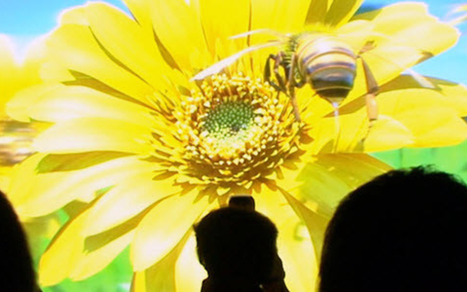 Dünyanın en büyük gözlüksüz 3D ekranı!