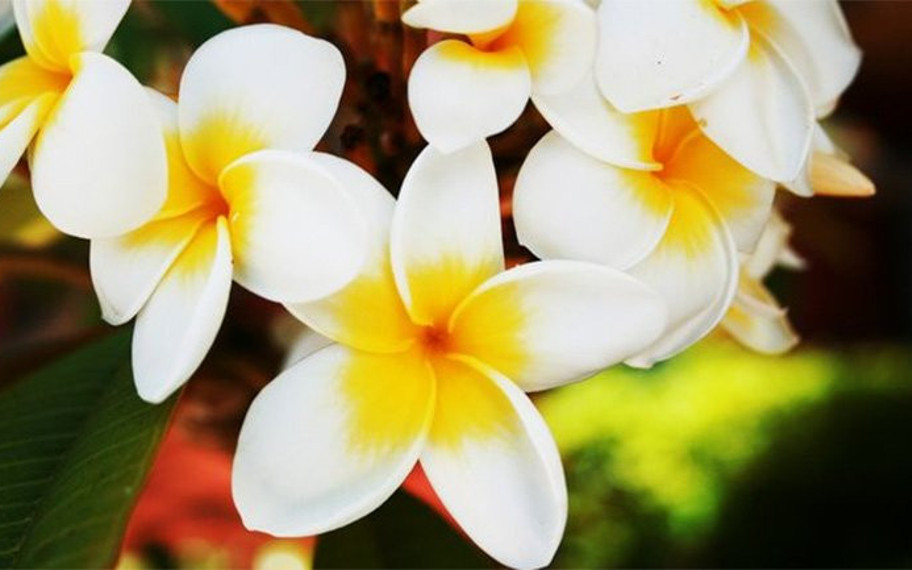 37 Harika Duvar Kağıdınız Hazır