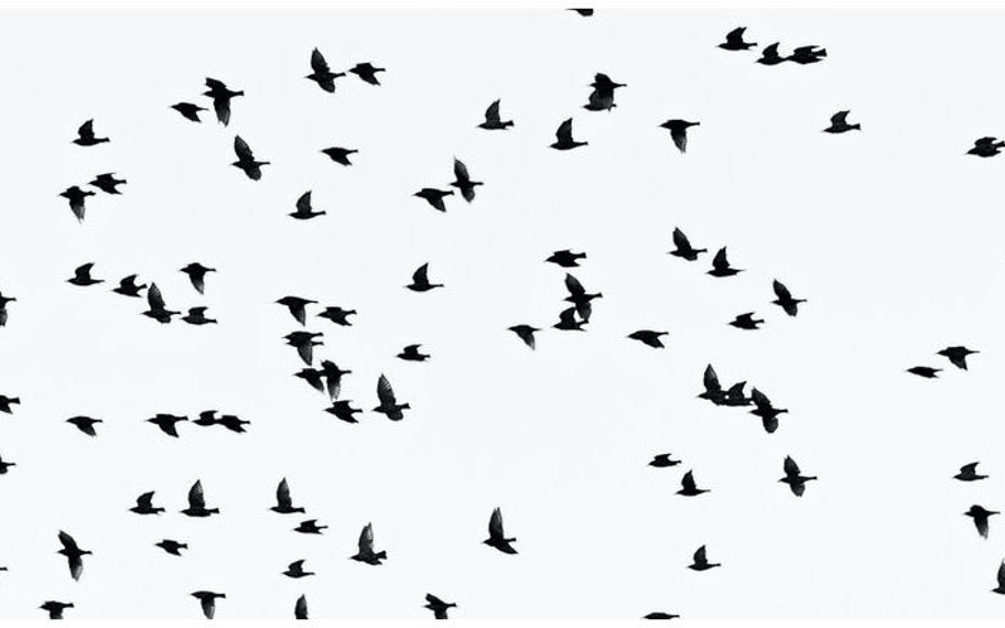 Google'ın Chrome'a Ekleyeceği FLoC Özelliği, Diğer Tarayıcıları Kızdırdı