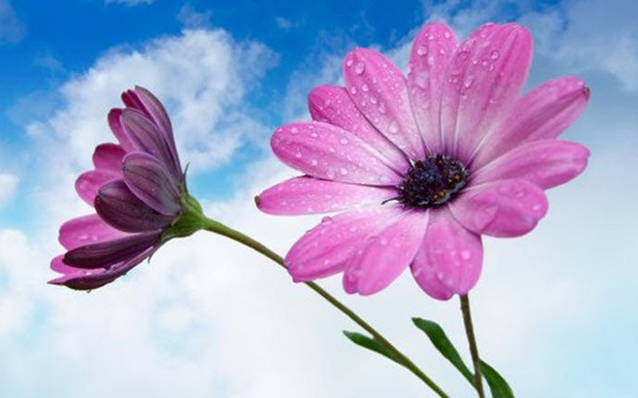 Yepyeni 45 Duvar Kağıdı!