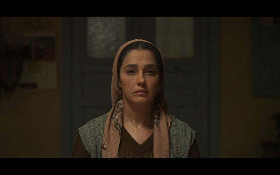 Cici filminin konusu ne? Oyuncuları kimler? Soru ve cevaplarla Cici filmi...