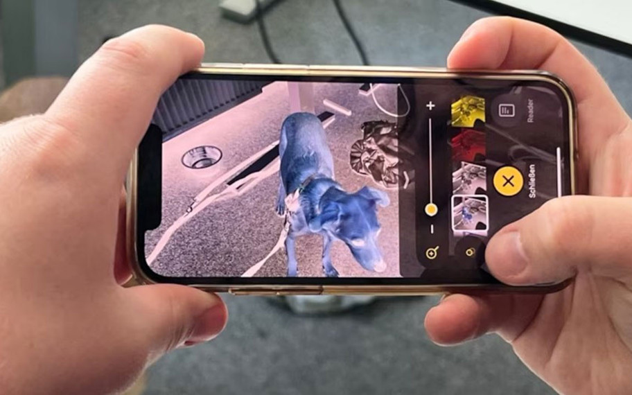 Keneleri cep telefonunuzla nasıl yakalarsınız? En pratik yöntem...